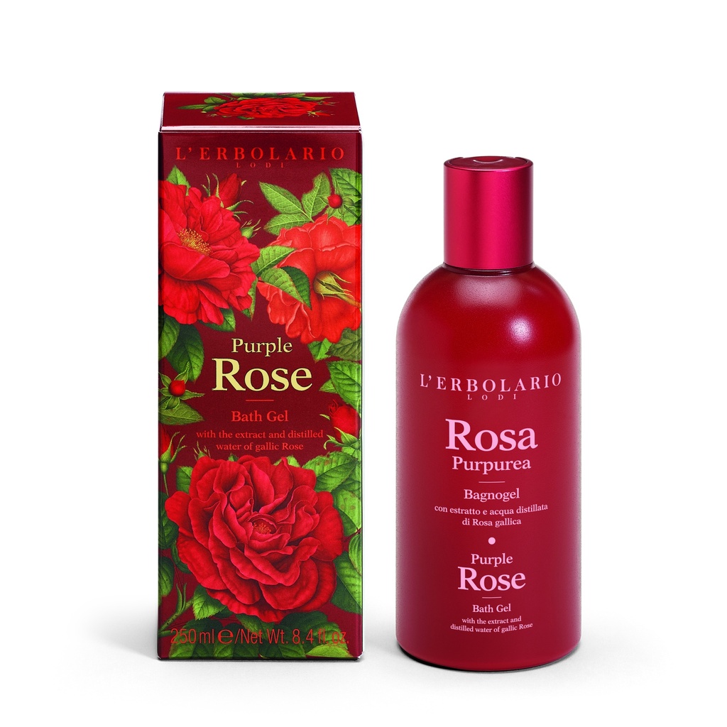 Rosa Purpurea